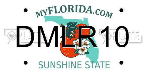 DMLR10 Florida License Plate