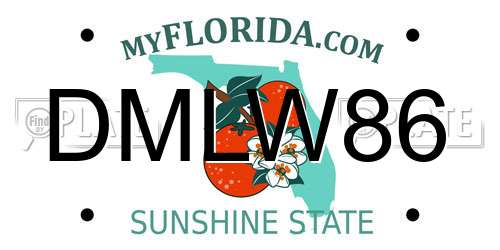 DMLW86 Florida License Plate