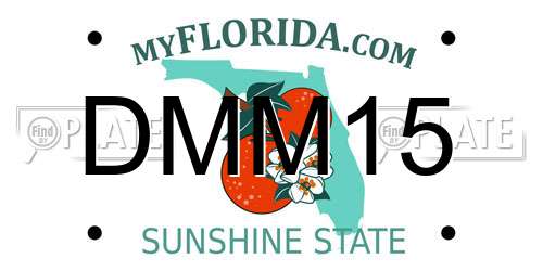 DMM15 Florida License Plate