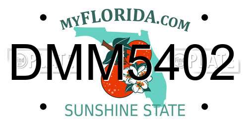 DMM5402 Florida License Plate
