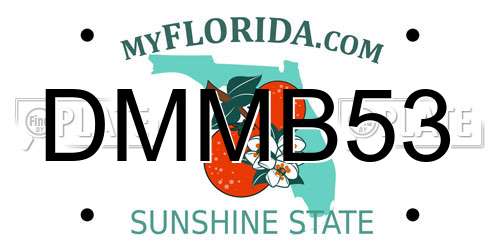 DMMB53 Florida License Plate