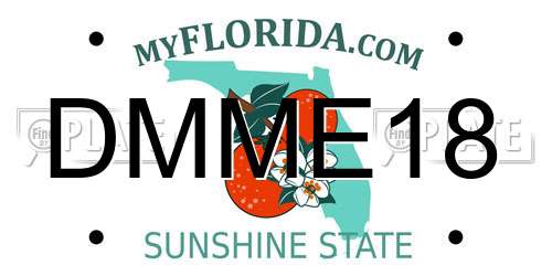 DMME18 Florida License Plate