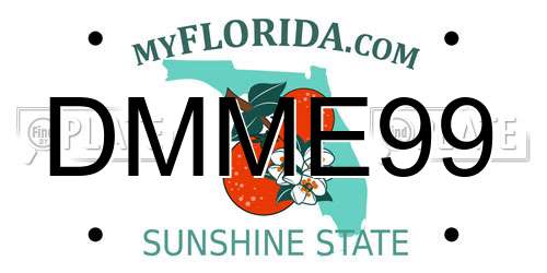 DMME99 Florida License Plate