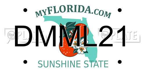 DMML21 Florida License Plate