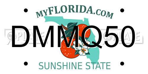 DMMQ50 Florida License Plate