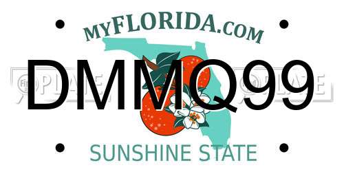 DMMQ99 Florida License Plate