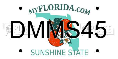 DMMS45 Florida License Plate