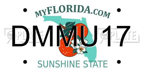 DMMU17 Florida License Plate