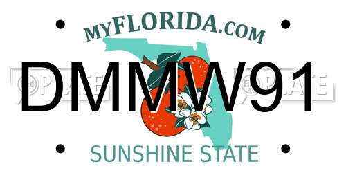DMMW91 Florida License Plate