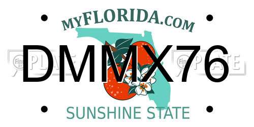 DMMX76 Florida License Plate