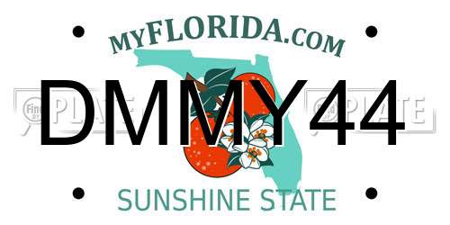 DMMY44 Florida License Plate