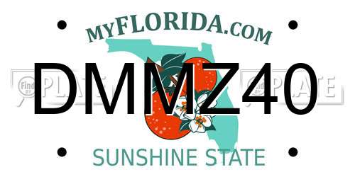 DMMZ40 Florida License Plate