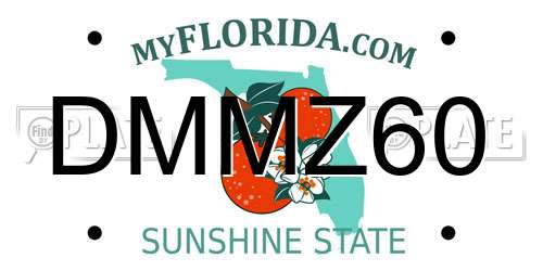 DMMZ60 Florida License Plate