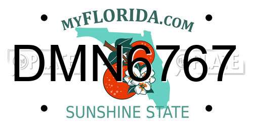 DMN6767 Florida License Plate