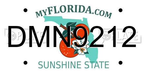 DMN9212 Florida License Plate