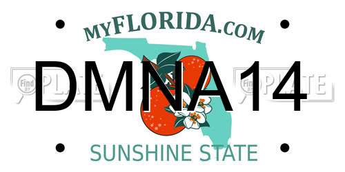 DMNA14 Florida License Plate