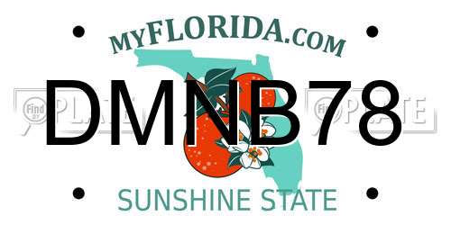 DMNB78 Florida License Plate
