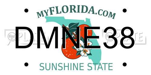 DMNE38 Florida License Plate