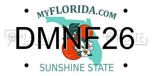 DMNF26 Florida License Plate