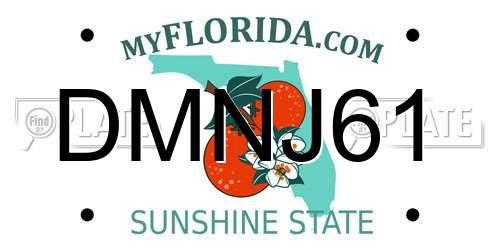 DMNJ61 Florida License Plate