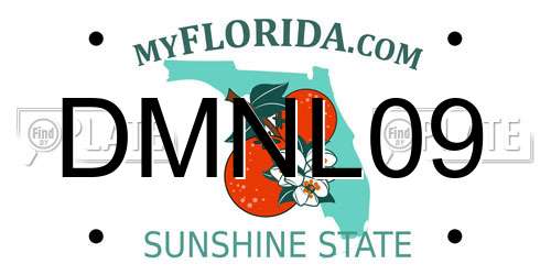 DMNL09 Florida License Plate