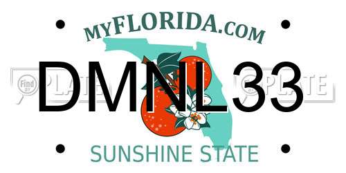 DMNL33 Florida License Plate