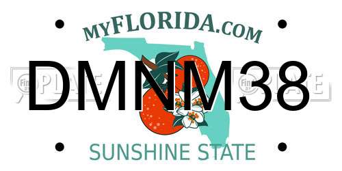 DMNM38 Florida License Plate