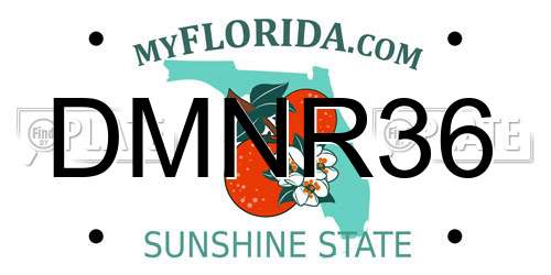 DMNR36 Florida License Plate