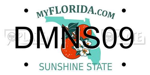 DMNS09 Florida License Plate