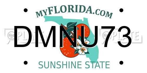DMNU73 Florida License Plate