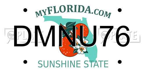 DMNU76 Florida License Plate