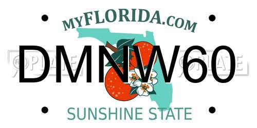 DMNW60 Florida License Plate