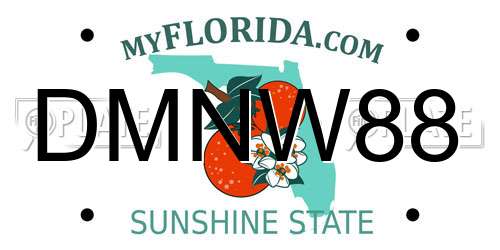 DMNW88 Florida License Plate