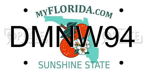 DMNW94 Florida License Plate