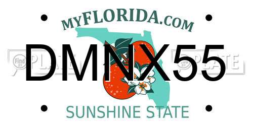 DMNX55 Florida License Plate
