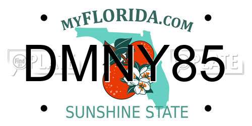 DMNY85 Florida License Plate