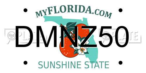 DMNZ50 Florida License Plate