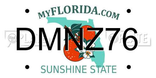 DMNZ76 Florida License Plate