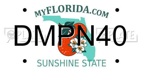 DMPN40 Florida License Plate