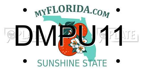 DMPU11 Florida License Plate