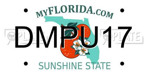 DMPU17 Florida License Plate