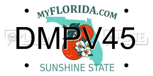 DMPV45 Florida License Plate
