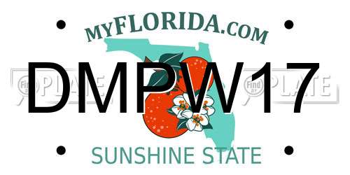 DMPW17 Florida License Plate