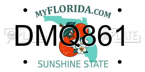 DMQ861 Florida License Plate