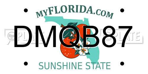 DMQB87 Florida License Plate