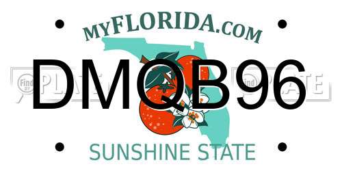 DMQB96 Florida License Plate