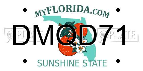 DMQD71 Florida License Plate