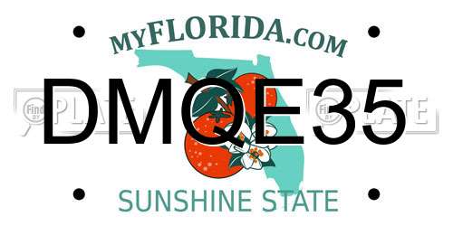 DMQE35 Florida License Plate