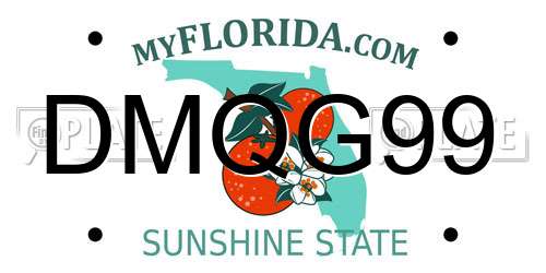 DMQG99 Florida License Plate