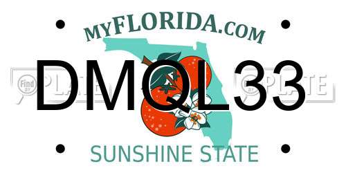 DMQL33 Florida License Plate